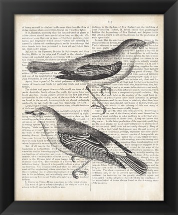 Framed Vintage Birds on Newsprint Print