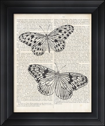 Framed Vintage Butterflies on Newsprint Print
