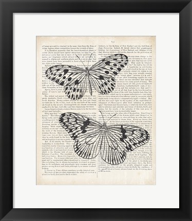 Framed Vintage Butterflies on Newsprint Print