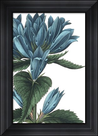 Framed Botanique II no Words Print