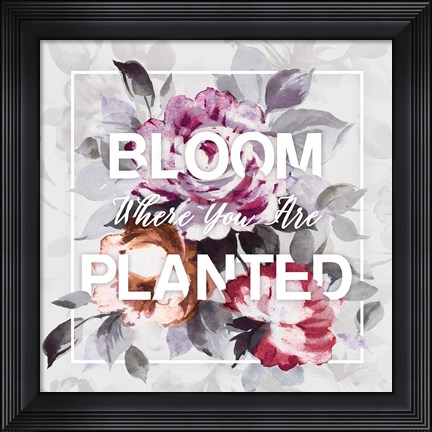 Framed Bloom Where You Are Planted Print