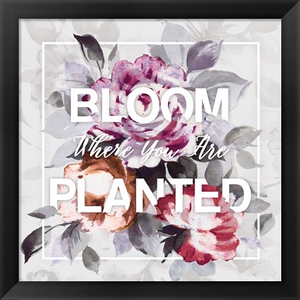 Framed Bloom Where You Are Planted Print