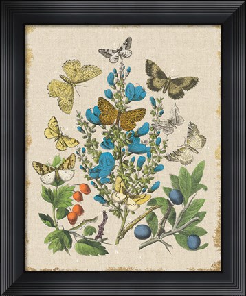 Framed Butterfly Bouquet II Linen Print