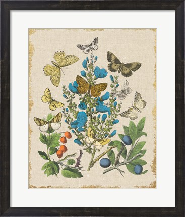 Framed Butterfly Bouquet II Linen Print