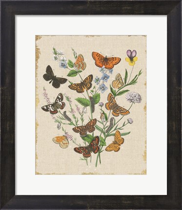Framed Butterfly Bouquet I Linen Print