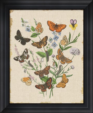 Framed Butterfly Bouquet I Linen Print