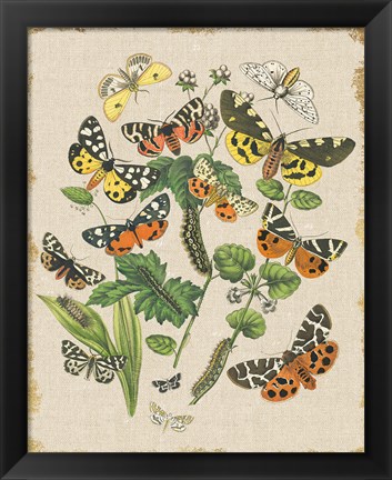 Framed Butterfly Bouquet IV Linen Print