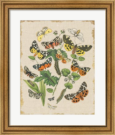 Framed Butterfly Bouquet IV Linen Print