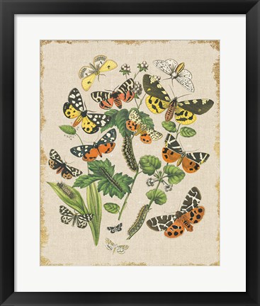 Framed Butterfly Bouquet IV Linen Print