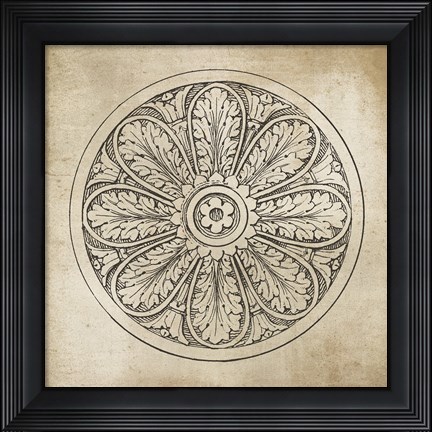 Framed Rosette VIII Neutral Print
