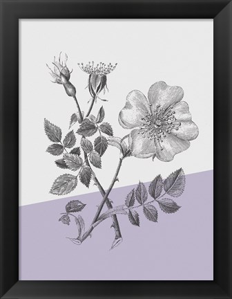 Framed Conversations on Botany IV Color Block Print