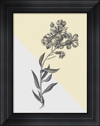 Framed Conversations on Botany VI Color Block Print