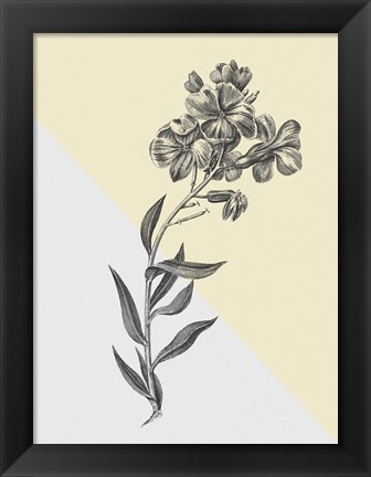 Framed Conversations on Botany VI Color Block Print