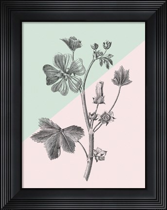 Framed Conversations on Botany VII Color Block Print