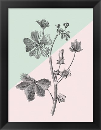 Framed Conversations on Botany VII Color Block Print