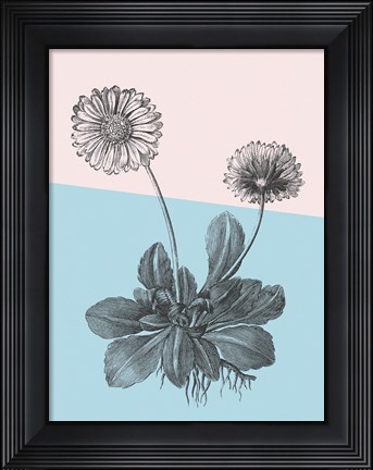 Framed Conversations on Botany IX Color Block Print