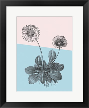 Framed Conversations on Botany IX Color Block Print