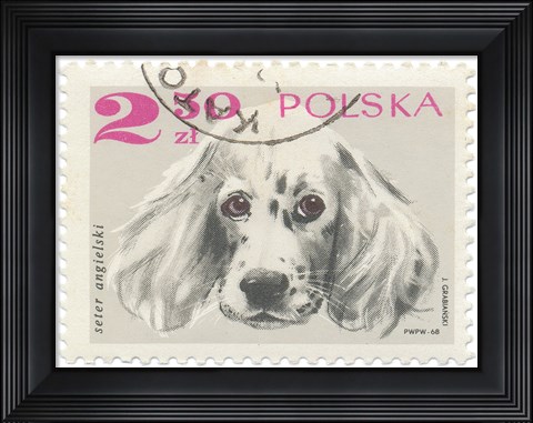 Framed Poland Stamp IV on White Print