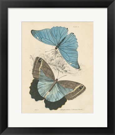 Framed Assortment Butterflies I Print