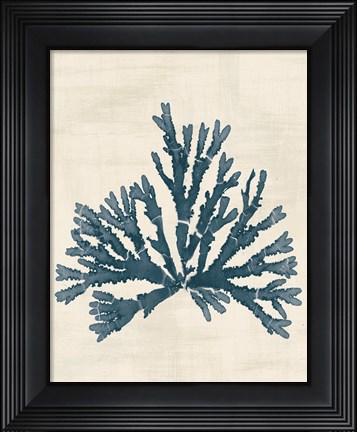 Framed Pacific Sea Mosses IV No Map Print