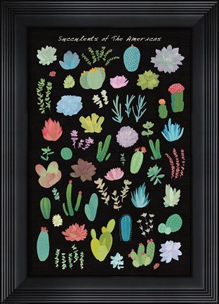 Framed Succulent Chart I of the Americas Print