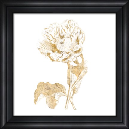 Framed Gilded Botanical VII Sq Print