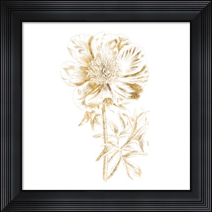 Framed Gilded Botanical VIII Sq Print