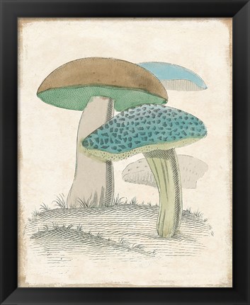 Framed Funghi Italiani Mushrooms Print