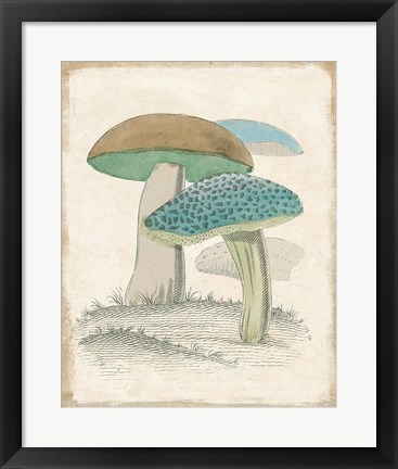 Framed Funghi Italiani Mushrooms Print