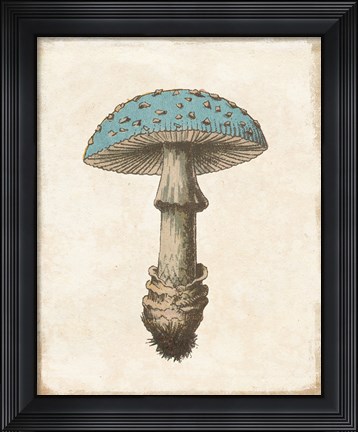 Framed Funghi Velenosi Blue Green Print