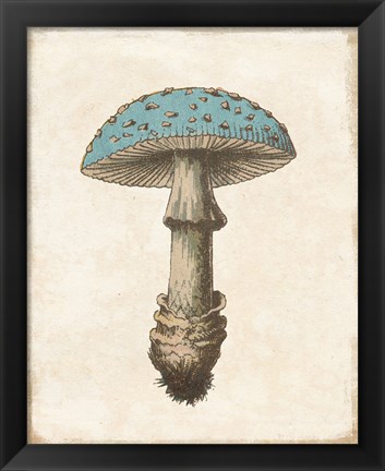 Framed Funghi Velenosi Blue Green Print