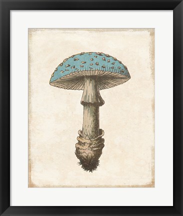 Framed Funghi Velenosi Blue Green Print