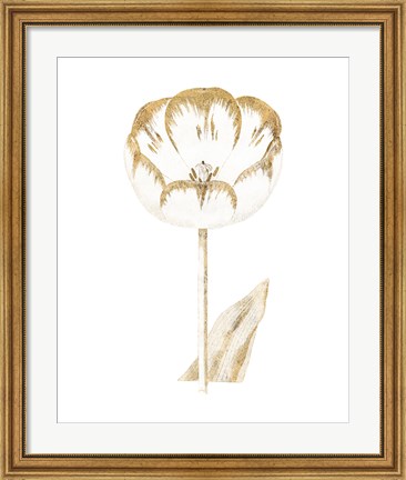 Framed Gilded Botanical V Print