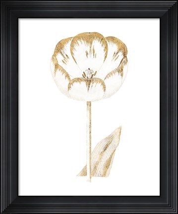 Framed Gilded Botanical V Print