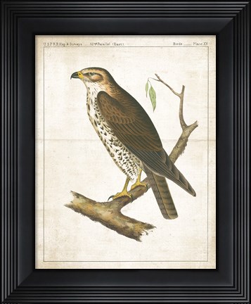 Framed Lookout II Print