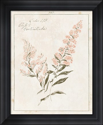 Framed Flowers on White I with Words Print