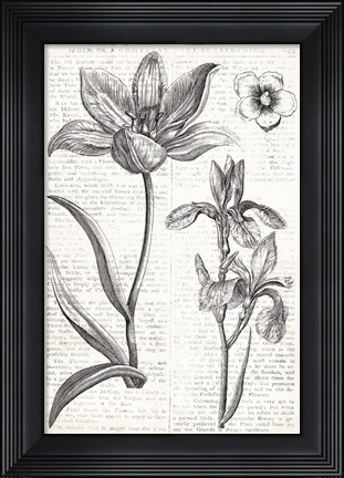 Framed Eden Spring II Print