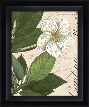 Framed Botanique Bleu III Vintage Print