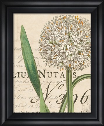 Framed Botanique Bleu II Vintage Print