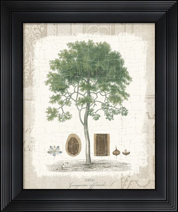 Framed Garden Trees I - Tropical Gayc Tree Print