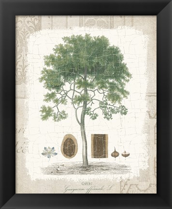 Framed Garden Trees I - Tropical Gayc Tree Print