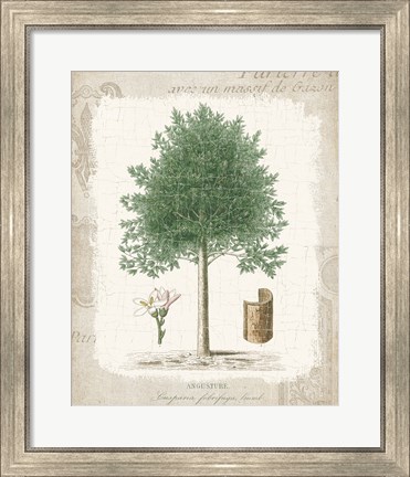 Framed Garden Trees I - Angusture Print