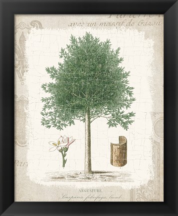 Framed Garden Trees I - Angusture Print