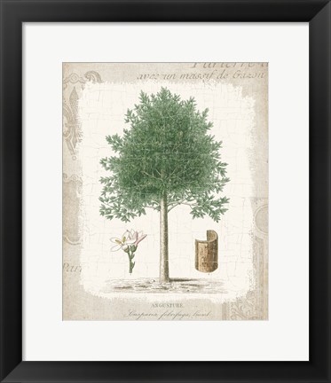 Framed Garden Trees I - Angusture Print