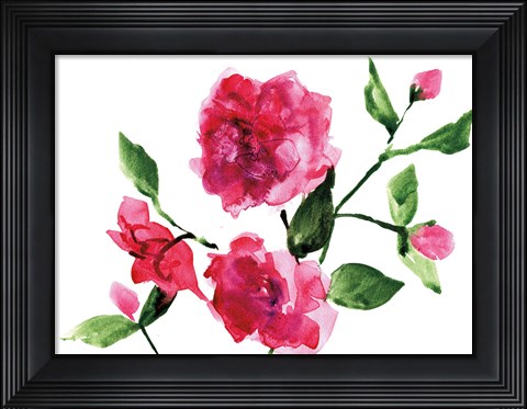 Framed Bright Roses Print
