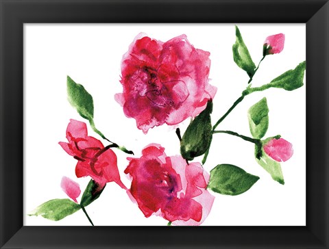 Framed Bright Roses Print