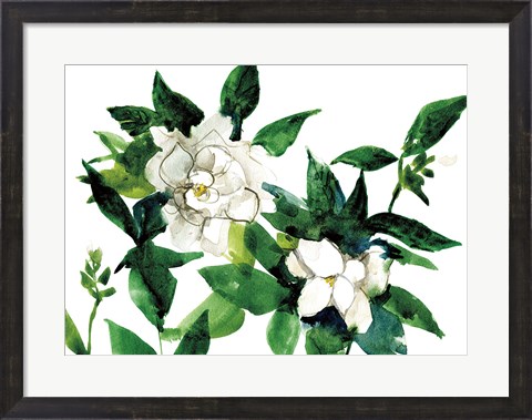 Framed Bright Gardenias Print