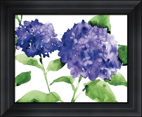 Framed Bright Hydrangeas Print