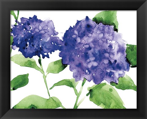 Framed Bright Hydrangeas Print