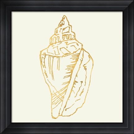 Framed Coastal Breeze Shell Sketches III Print